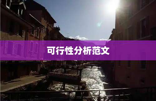 可行性分析范文