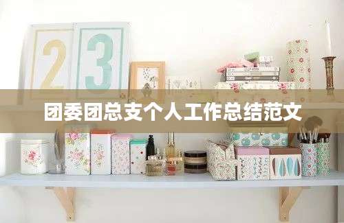 团委团总支个人工作总结范文