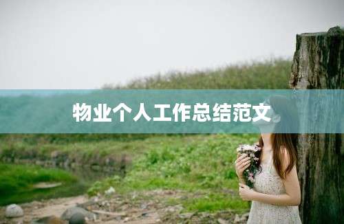 物业个人工作总结范文