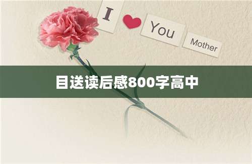 目送读后感800字高中
