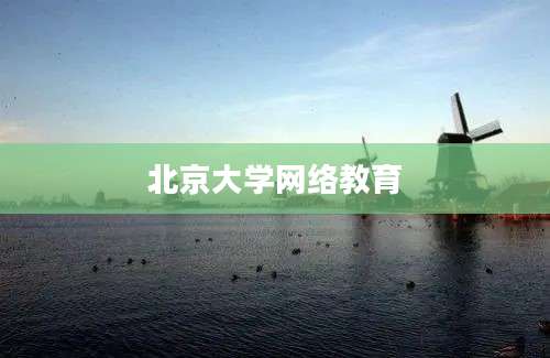 北京大学网络教育