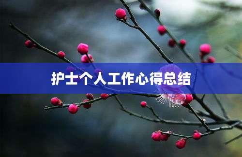 护士个人工作心得总结