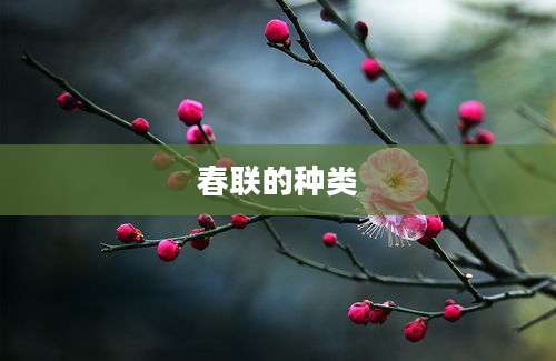 春联的种类