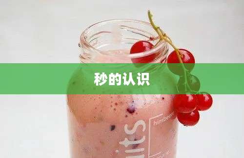 秒的认识