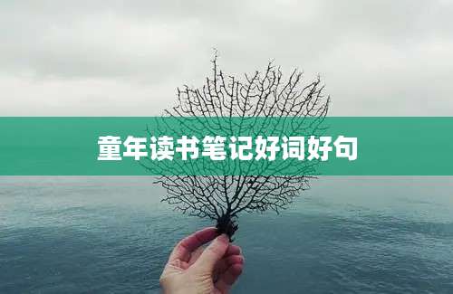童年读书笔记好词好句
