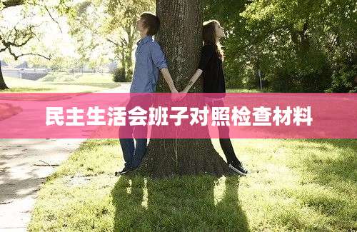 民主生活会班子对照检查材料