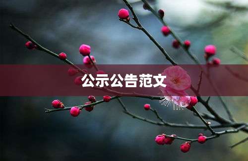 公示公告范文
