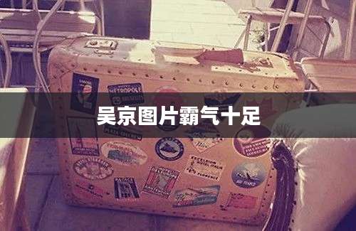 吴京图片霸气十足