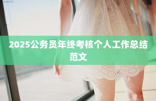 2025公务员年终考核个人工作总结范文