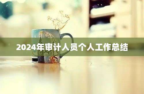 2024年审计人员个人工作总结