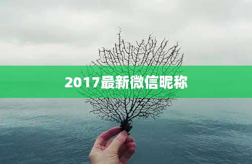2017最新微信昵称