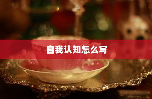 自我认知怎么写