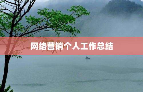 网络营销个人工作总结