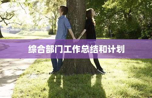 综合部门工作总结和计划
