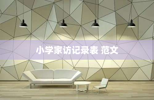 小学家访记录表 范文