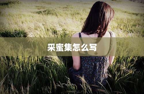 采蜜集怎么写