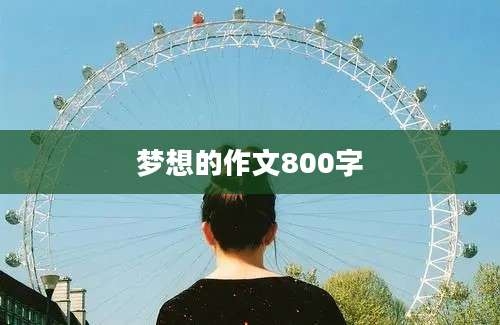 梦想的作文800字