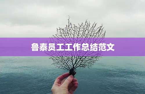 鲁泰员工工作总结范文