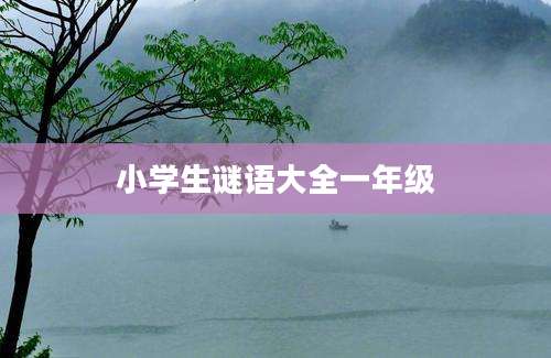 小学生谜语大全一年级