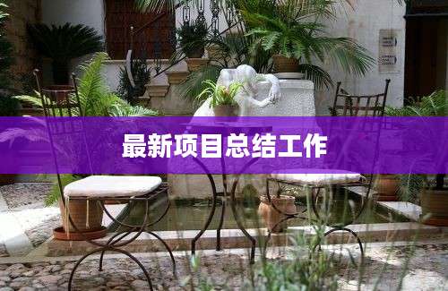 最新项目总结工作