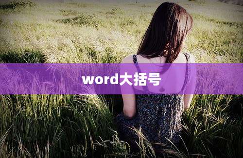 word大括号