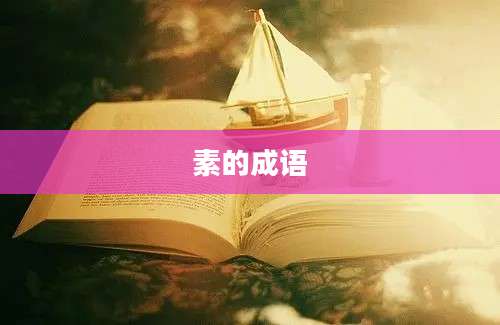 素的成语