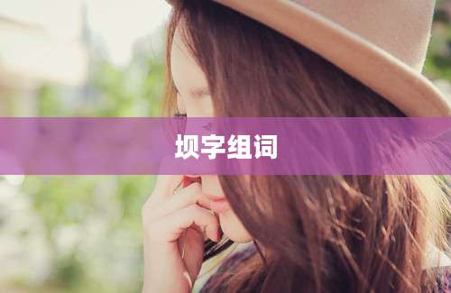 坝字组词