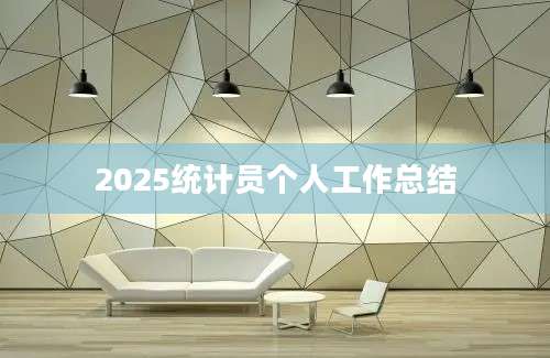 2025统计员个人工作总结