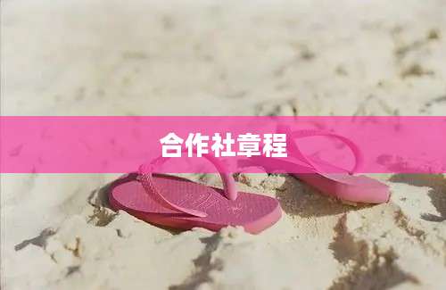 合作社章程