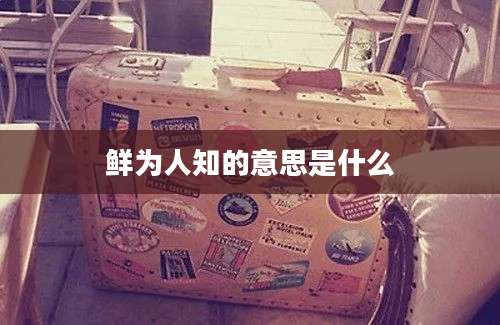 鲜为人知的意思是什么
