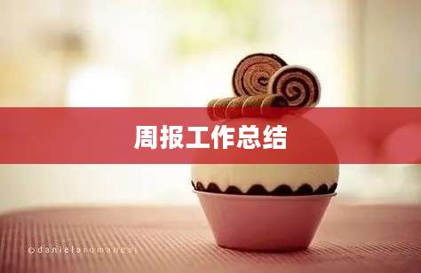 周报工作总结