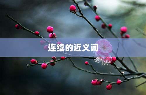 连续的近义词