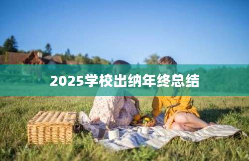 2025学校出纳年终总结