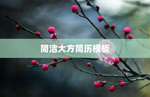 简洁大方简历模板