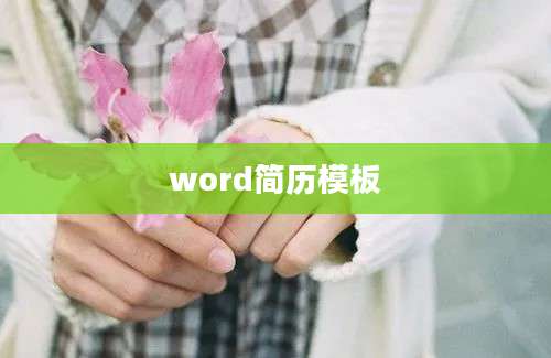 word简历模板