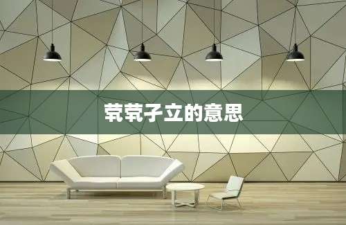 茕茕孑立的意思