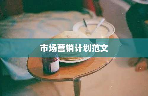 市场营销计划范文