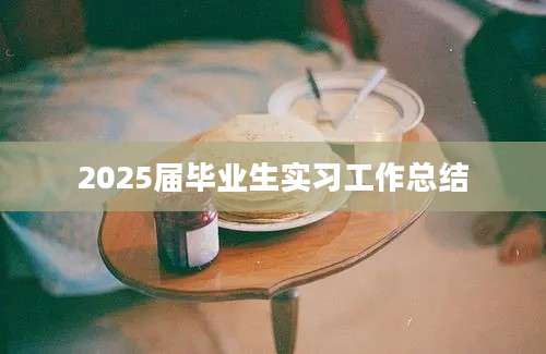 2025届毕业生实习工作总结