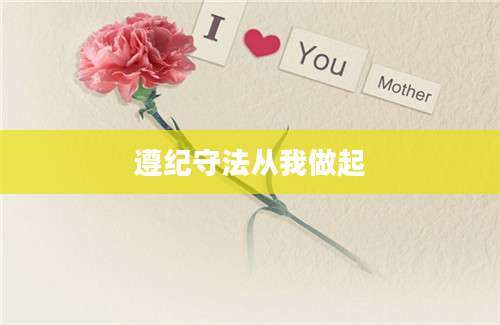 遵纪守法从我做起