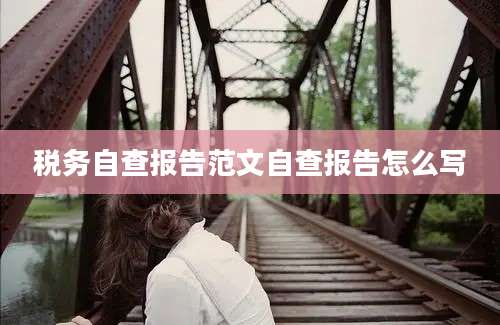 税务自查报告范文自查报告怎么写