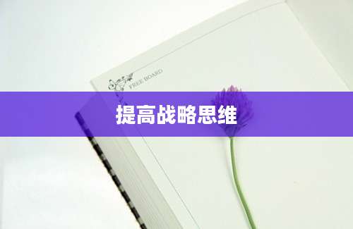 提高战略思维