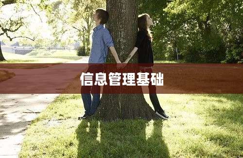 信息管理基础