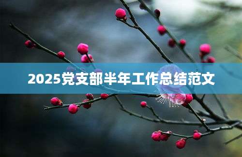 2025党支部半年工作总结范文