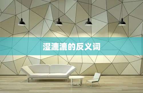 湿漉漉的反义词