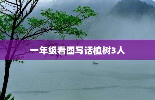 一年级看图写话植树3人