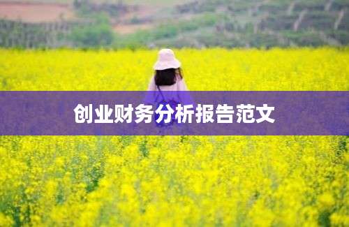 创业财务分析报告范文