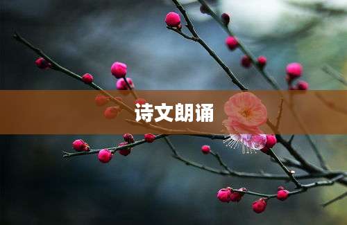 诗文朗诵