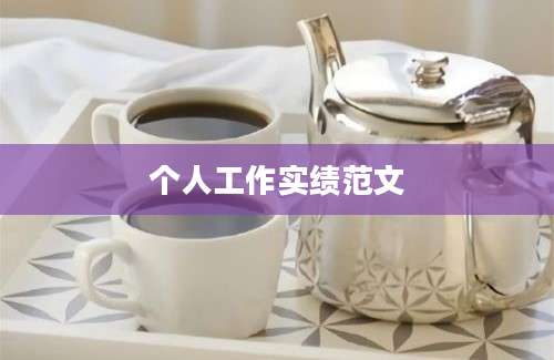 个人工作实绩范文