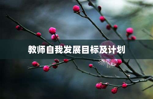 教师自我发展目标及计划