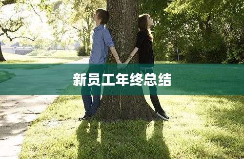 新员工年终总结